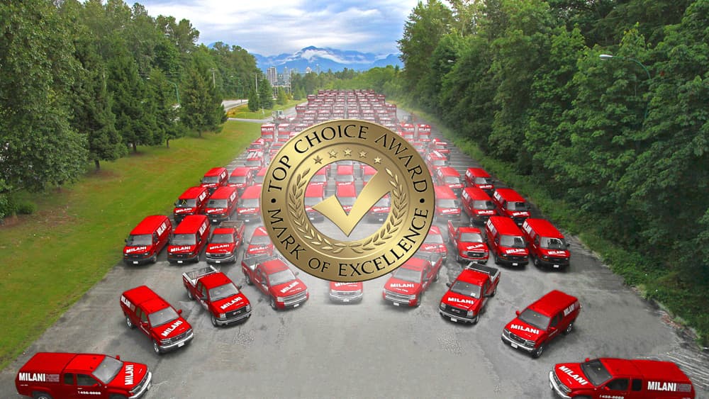 We’re the Top Choice In Vancouver (again)! - Milani Plumbing, Heating & Air Conditioning