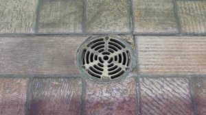 An outdoor yard drain