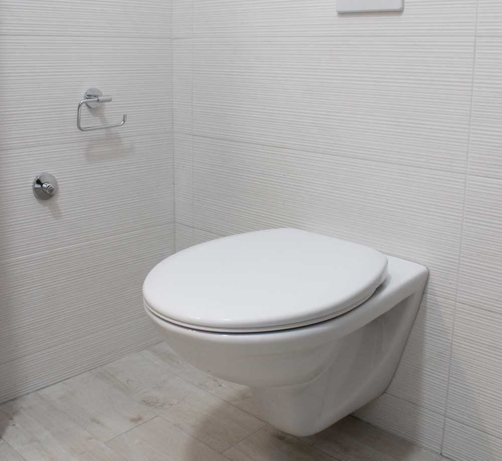 13 Interesting Facts About Toilets Milani